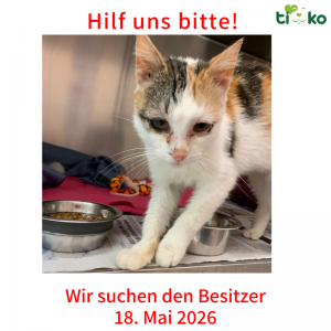 Fundtiere FB(7)
